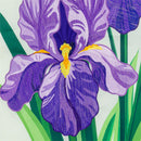 Patterned Irises Applique Flag House