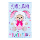 Somebunny Loves You Applique Flag House