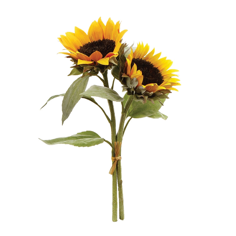 Napa Home Garden, SUNFLOWER CUTTINGS BUNDLE/2,cc221