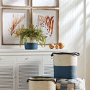 NAPA Home & Garden, Boston Fern Drop-In Collection
