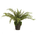 NAPA Home & Garden, Boston Fern Drop-In Collection