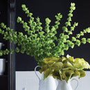NAPA Home & Garden, BELLS OF IRELAND 46", BUNDLE OF 3,CC236
