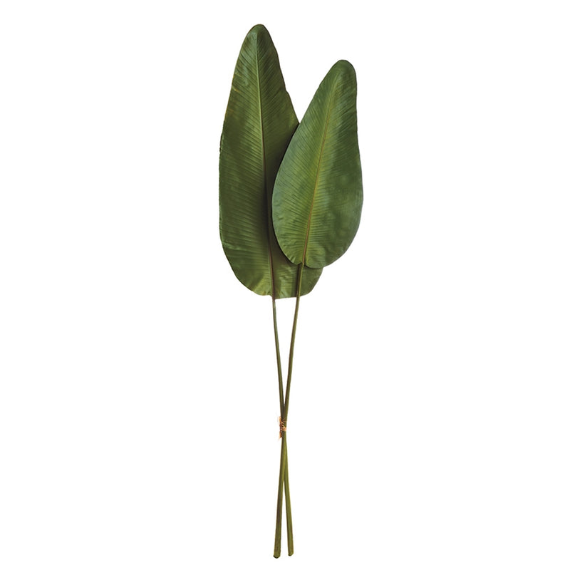 Napa Home Garden, STRELITZIA LEAF 63" BUNDLE/2,cc245