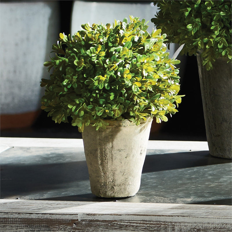 Napa Home Garden, BB FAUX BOXWOOD 9" SHRUB POTTED,cc260