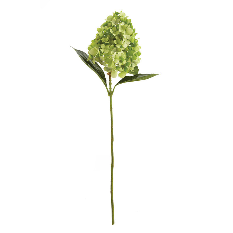 NAPA Home & Garden, CONE HYDRANGEA STEM 28",CC291GR