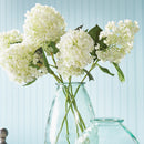 NAPA Home & Garden, Cone Hydrangea Stem
