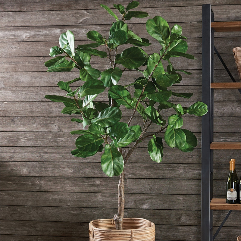 Napa Home Garden, FIDDLE LEAF FIG TREE POTTED 79",cc294