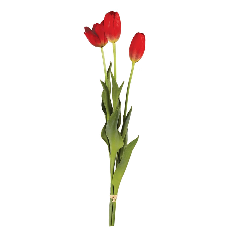 Napa Home Garden, FRENCH TULIPS 24" BUNDLE/3 RED,cc316rd