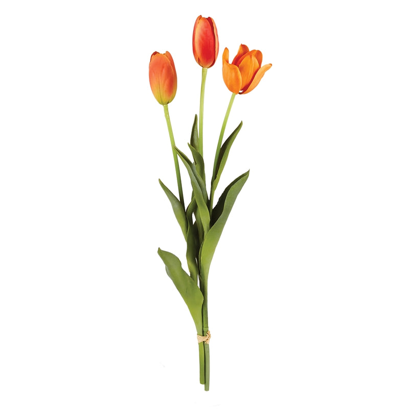 Napa Home Garden, FRENCH TULIPS 24" BUNDLE/3 ORANGE,cc316rg