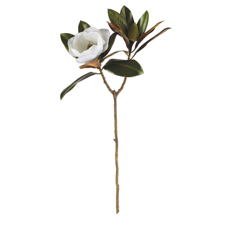 NAPA Home & Garden, MAGNOLIA STEM 31",CC323