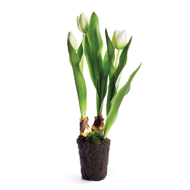 NAPA Home & Garden, TULIP DROP-IN 18",CC324WH