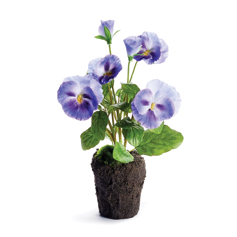 Napa Home Garden, PANSY DROP-IN 11.5" VIOLET,cc334bl