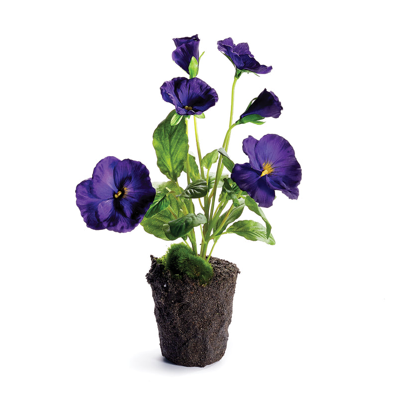 NAPA Home & Garden, PANSY DROP-IN 11.5",CC334PRD