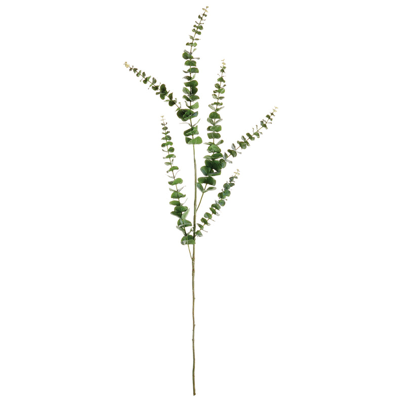 NAPA Home & Garden, EUCALYPTUS STEM 49",CC344