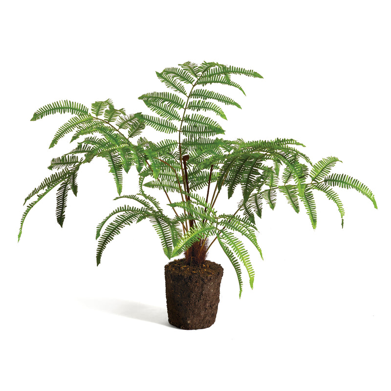 NAPA Home & Garden, FOREST FERN DROP-IN 29.5",CC347