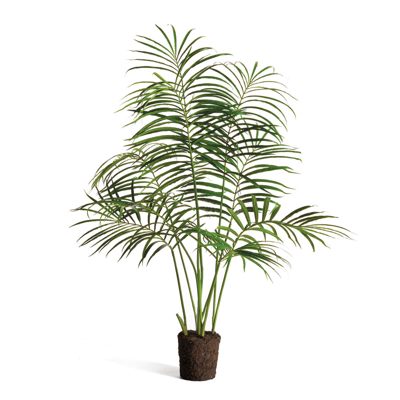 NAPA Home & Garden, PALM TREE DROP-IN 50",CC350