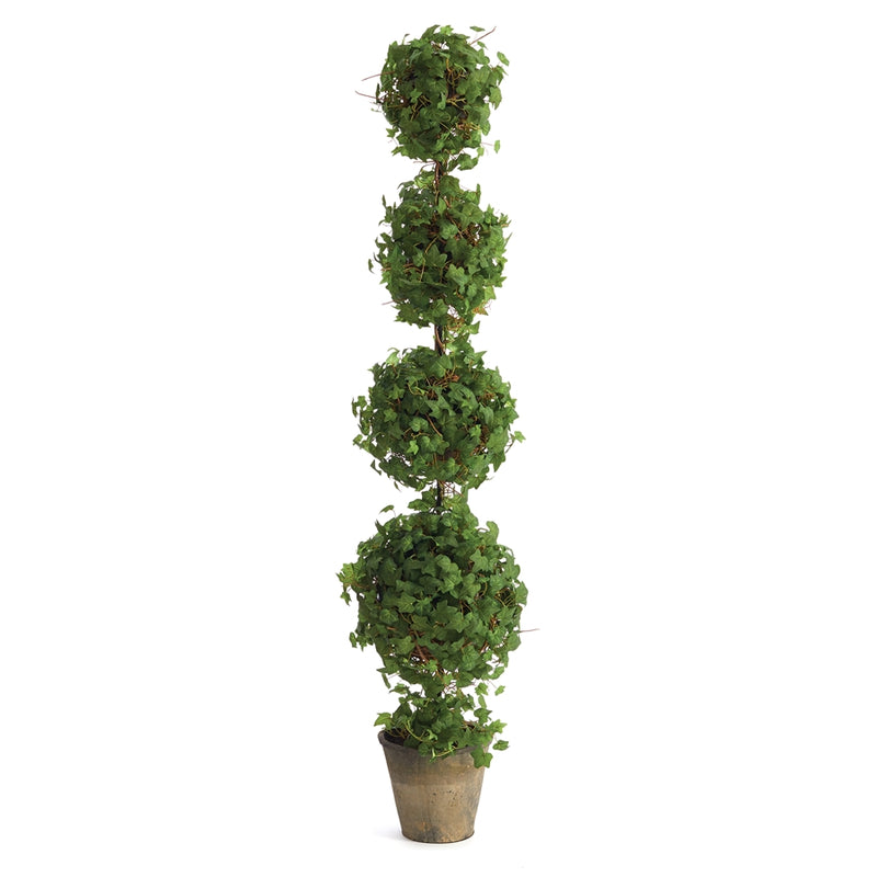 Napa Home Garden, IVY QUADRUPLE TOPIARY POTTED 67.5",cc354