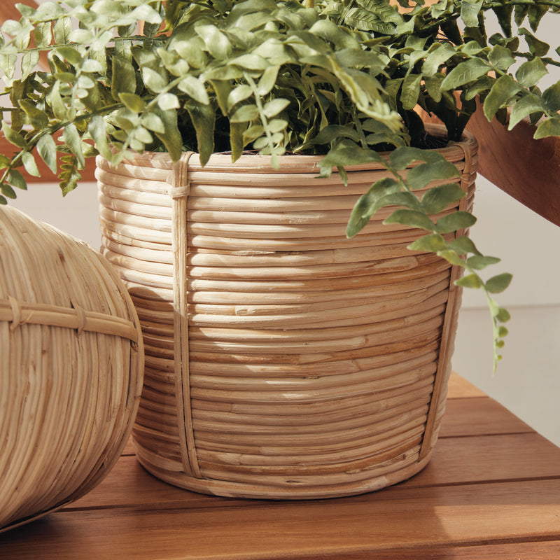 NAPA Home & Garden, CANE RATTAN MINI ROUND BASKETS, SET OF 3,DB202