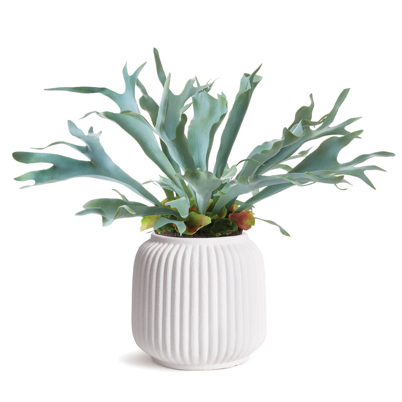 NAPA Home & Garden, MILA CACHEPOT LARGE,DG420