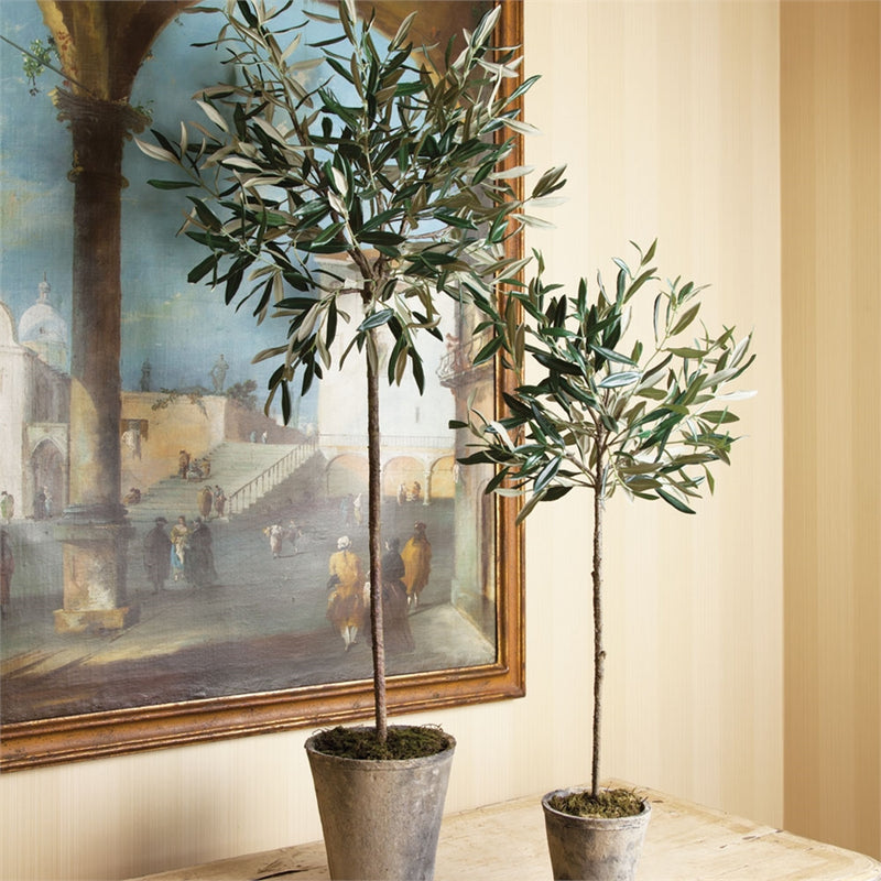 Napa Home Garden, CC 46" OLIVE TREE POTTED,di1212