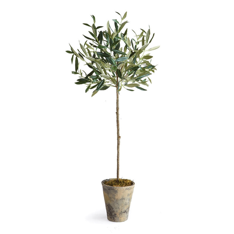 Napa Home Garden, CC 30" OLIVE TREE POTTED,di1213