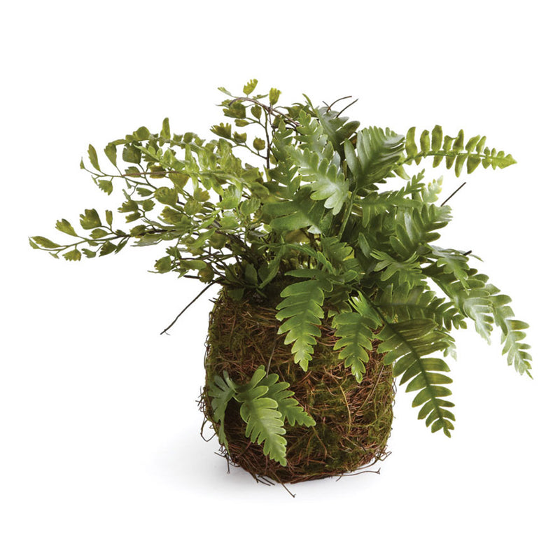 NAPA Home & Garden, MIXED FERN DROP-IN 8",DI1218