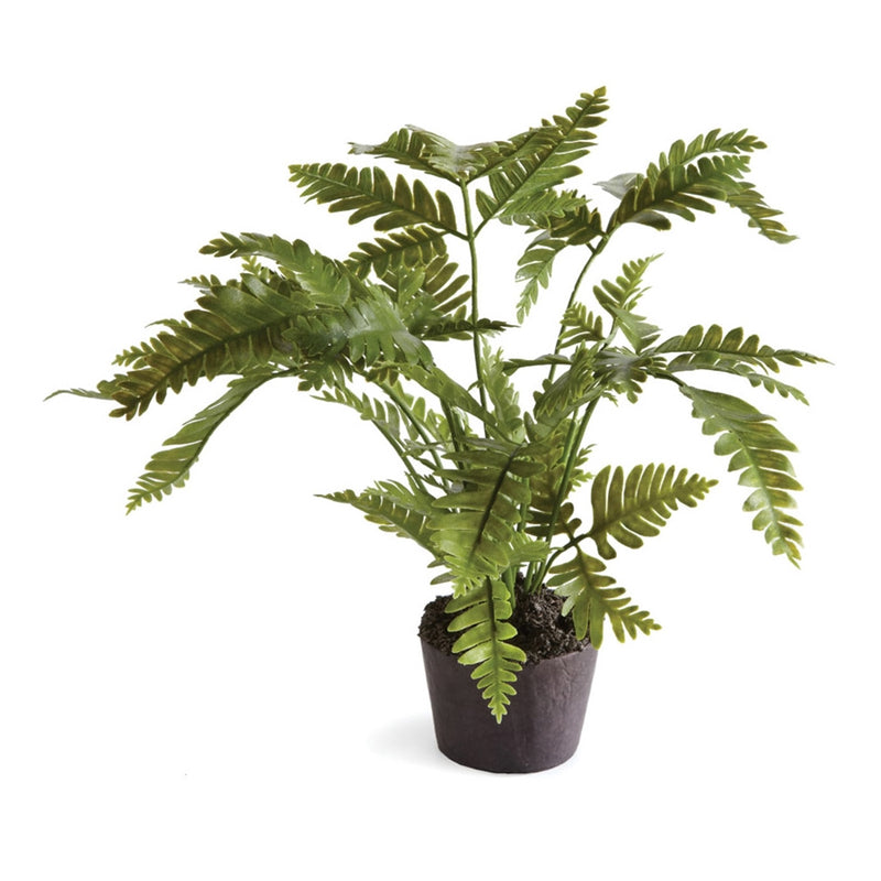 Napa Home Garden, CC 8.5" LADY FERN RUSTIC DROP-IN,di1219