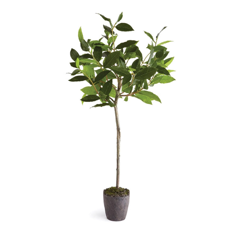 Napa Home Garden, BAYLEAF TREE 28.5" DROP-IN,di1220