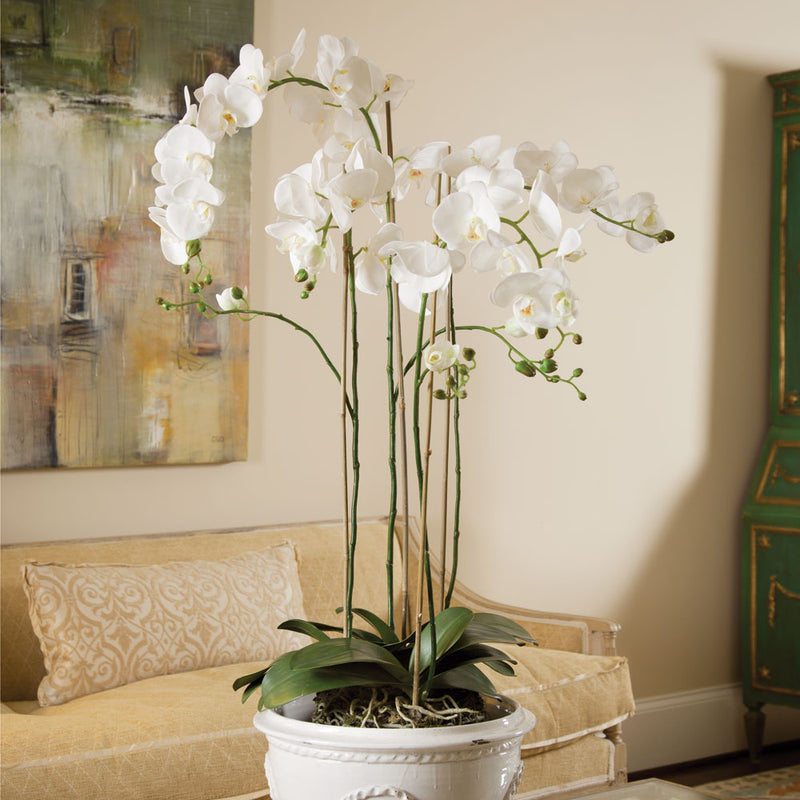 NAPA Home & Garden, PHALAENOPSIS ORCHID DROP-IN 44",DI1222