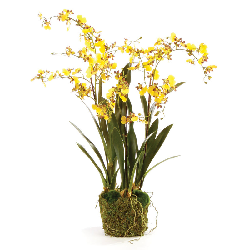 NAPA Home & Garden, DANCING ORCHID DROP-IN 32",DI1239