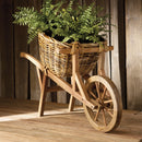 NAPA Home & Garden, Boston Fern Drop-In Collection