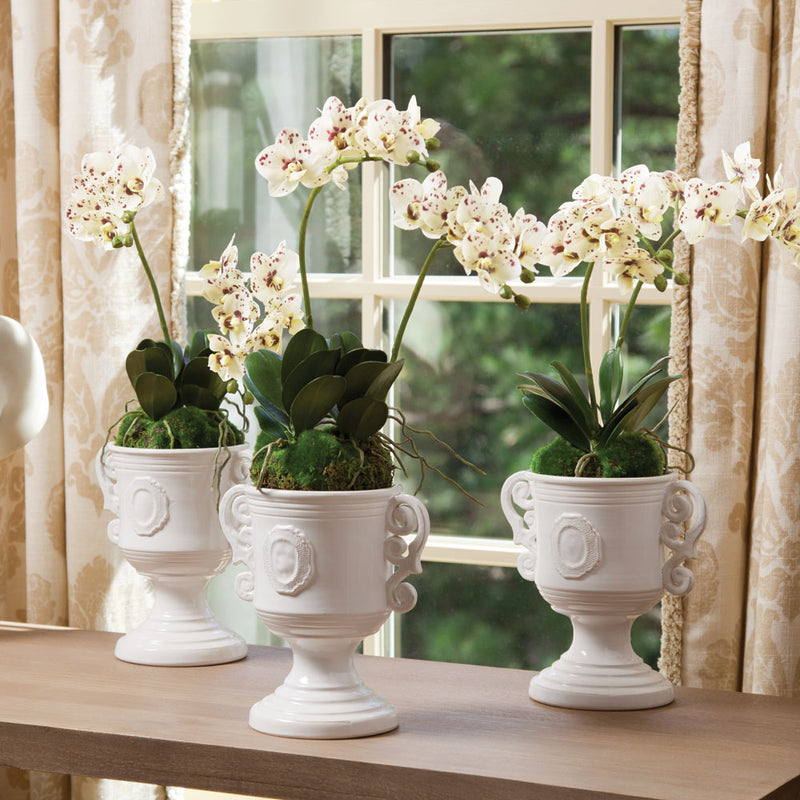 NAPA Home & Garden, PHALAENOPSIS ORCHID DROP-IN 16",DI1258