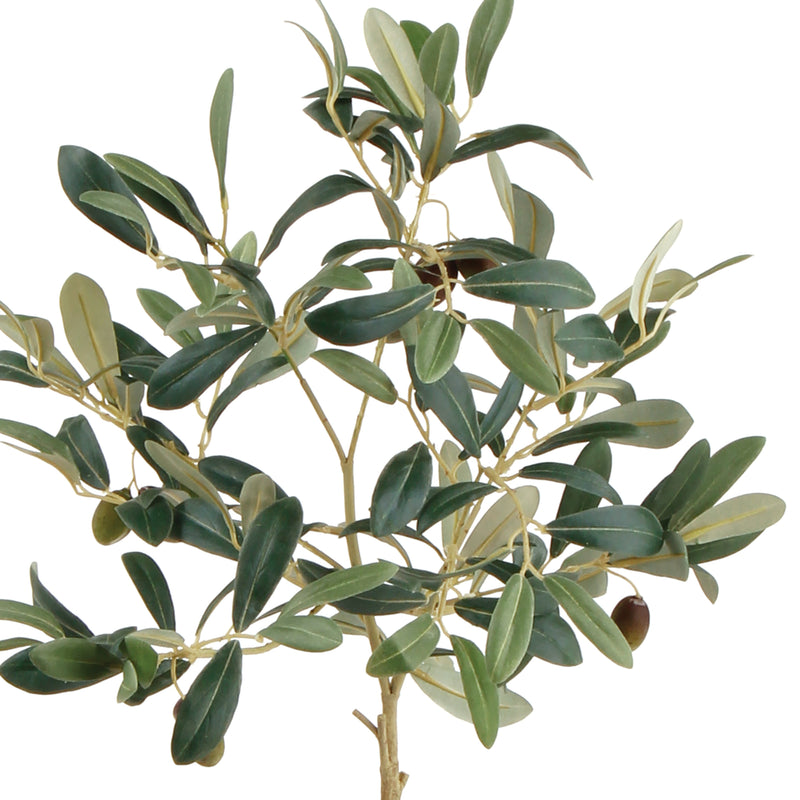 NAPA Home & Garden, OLIVE TREE WITH FRUIT IN POT 19.5",DI2019