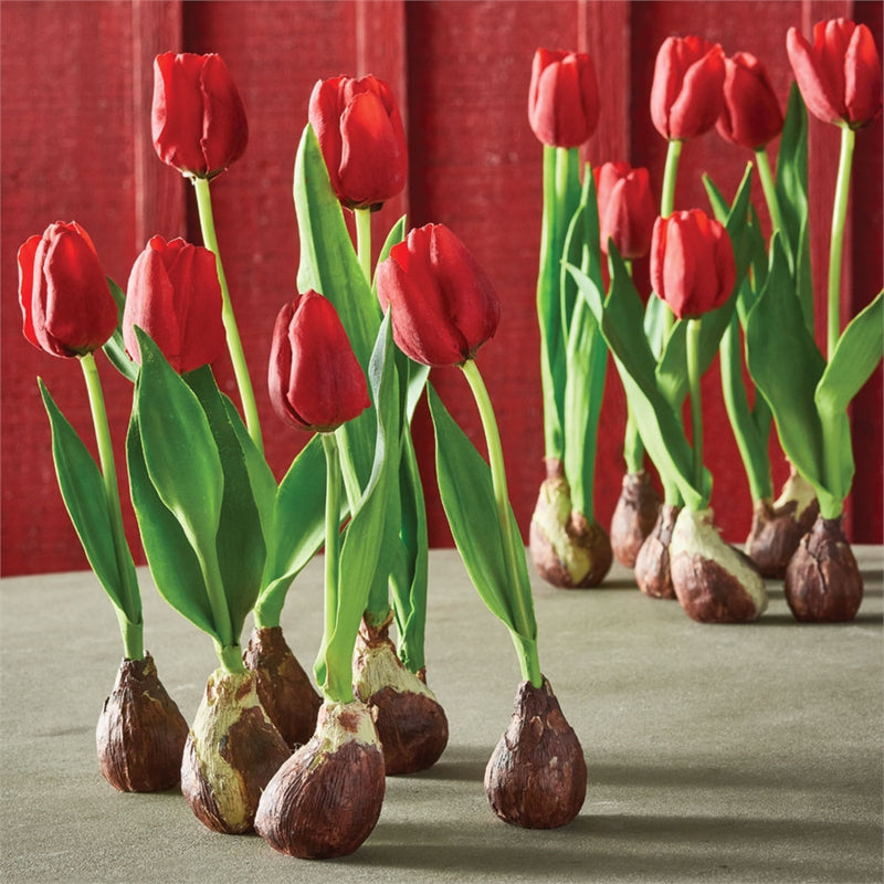 Napa Home Garden, CC STANDING TULIPS WITH BULBS ,SET OF 6,di2036