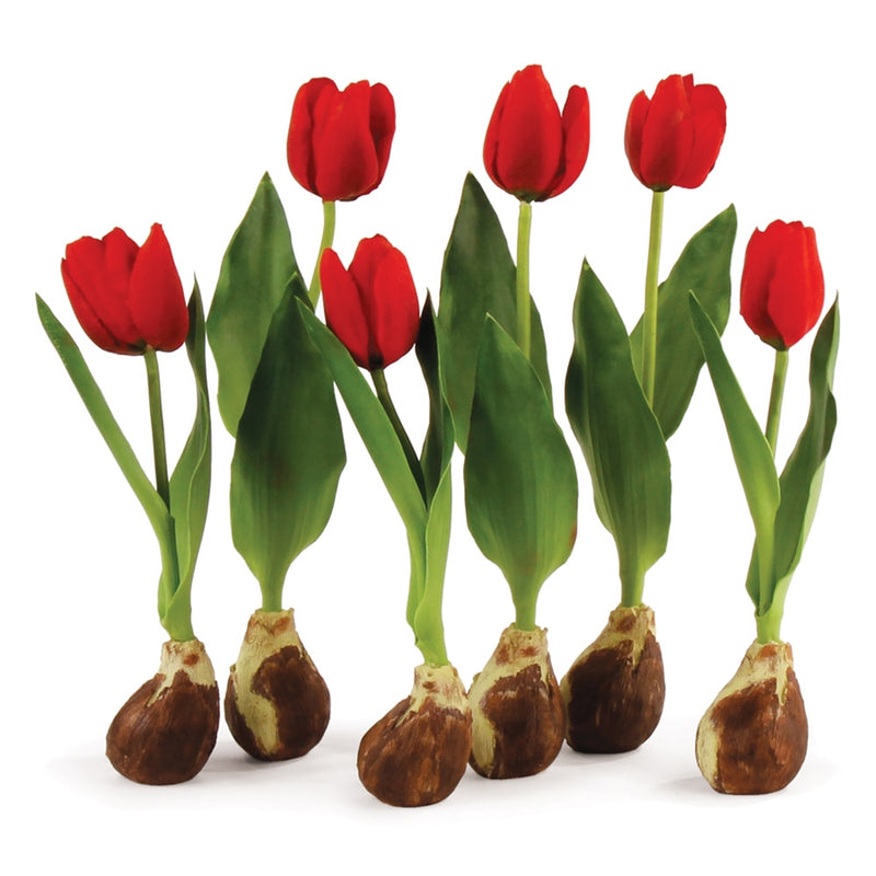 Napa Home Garden, CC STANDING TULIPS WITH BULBS ,SET OF 6,di2036