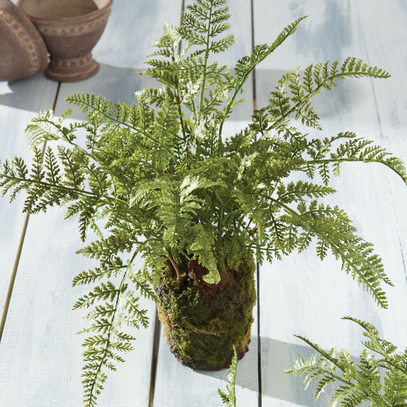 NAPA Home & Garden, SOFT FERN DROP-IN 13",DI3004