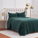 Vela Juniper Queen Quilt Set