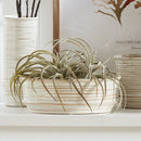NAPA Home & Garden, BARCLAY BUTERA ANACAPA BOWL,EN401