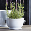 NAPA Home & Garden, DAWSON CACHEPOT Collection