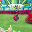 Metal Weighted Enamel Flag Clip, Ladybug