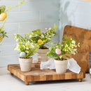 Hop Into Spring Faux Floral Table Decor, Easter Egg Mini Artificial, 8.3", Wooden Crate