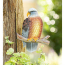 EAGLE ON BRANCH