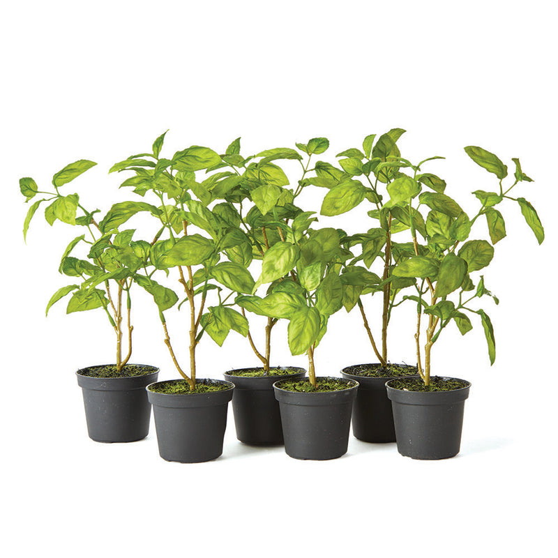 NAPA Home & Garden, BASIL DROP-INS 11", SET OF 6,GP203