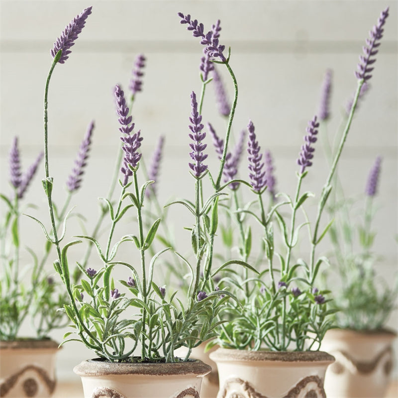 Napa Home Garden, FRENCH LAVENDER 13" DROP-IN S/6,gp205