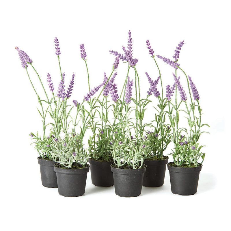 NAPA Home & Garden, FRENCH LAVENDER DROP-IN 13", SET OF 6,GP205