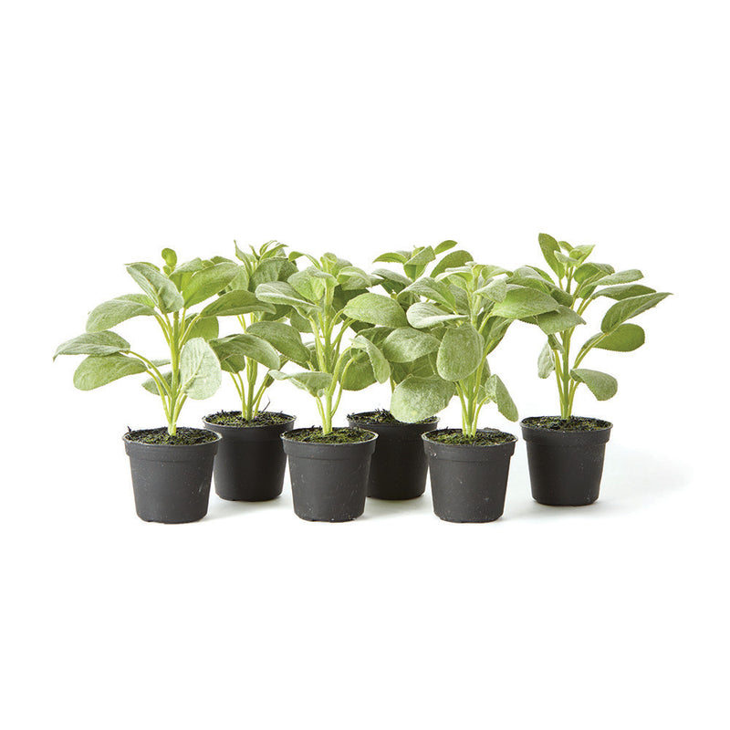 NAPA Home & Garden, SAGE DROP-IN 6.5", SET OF 6,GP206