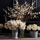 NAPA Home & Garden, Peonies Bundle