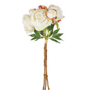 NAPA Home & Garden, Peonies Bundle