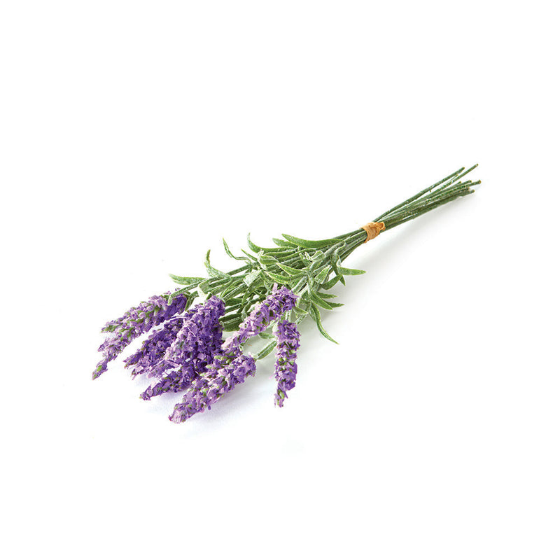 NAPA Home & Garden, FRENCH LAVENDER 11", BUNDLE OF 12,GP216