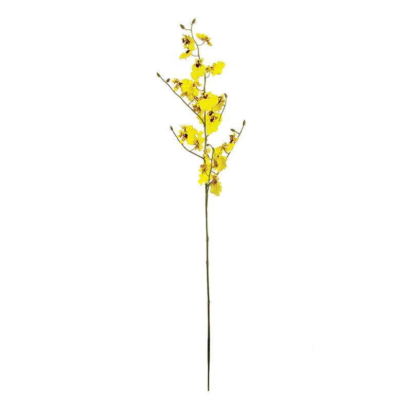 Napa Home Garden, ONCIDIUM ORCHID STEM 36.5",gp226